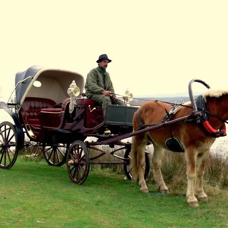 فندق & إجنيدا