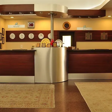 Hotel & 5*